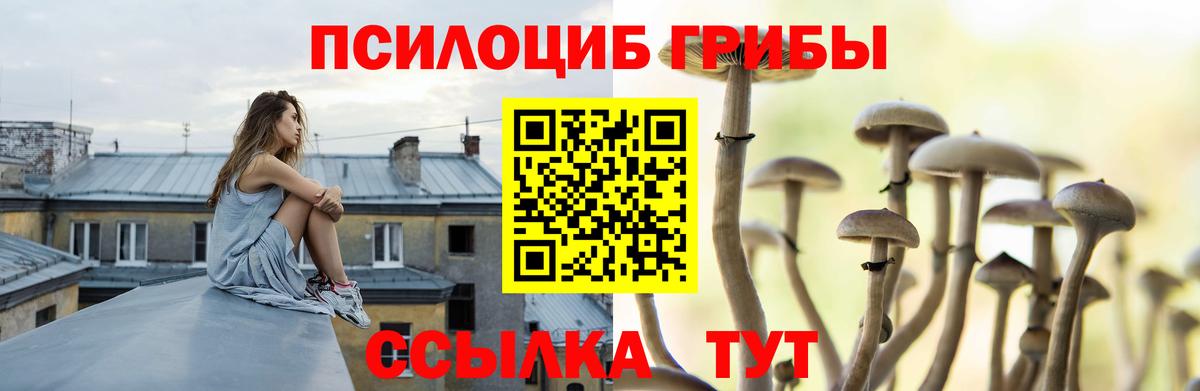 Псилоцибиновые грибы ЛСД Комсомольск-на-Амуре